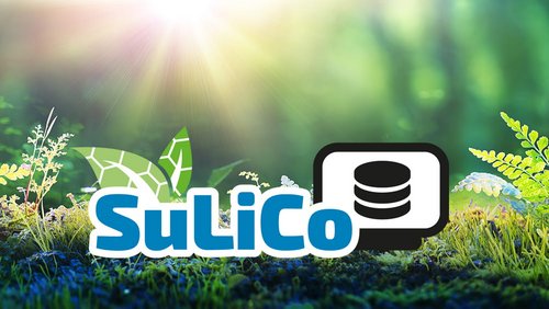 Projekt SuLiCo