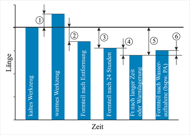 Schwindung