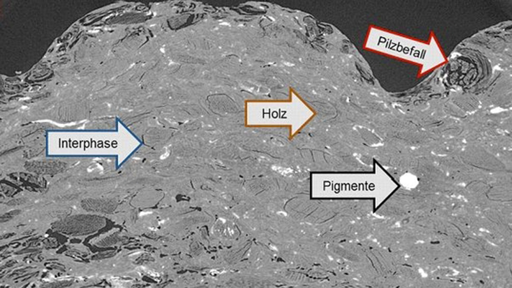 Bewitterung von WPC-Produkten zeigt Materialschädigungen