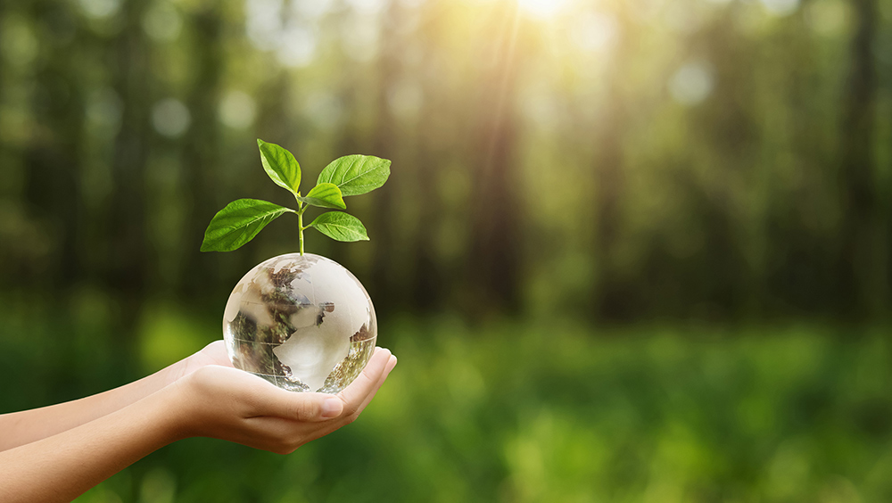 Workshop „Sustainable Leadership - Impulse für einen Kulturwandel im Unternehmen